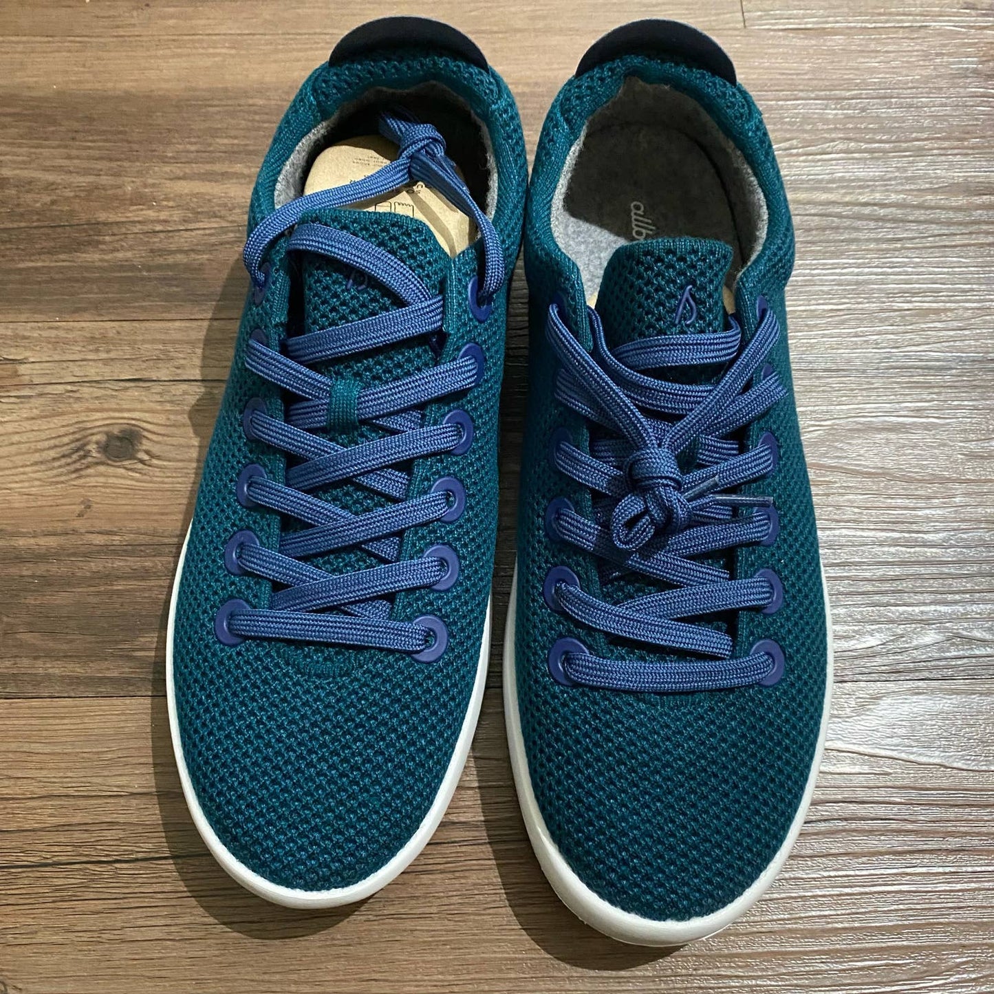 Allbirds sz 11 blue sneakers NWT