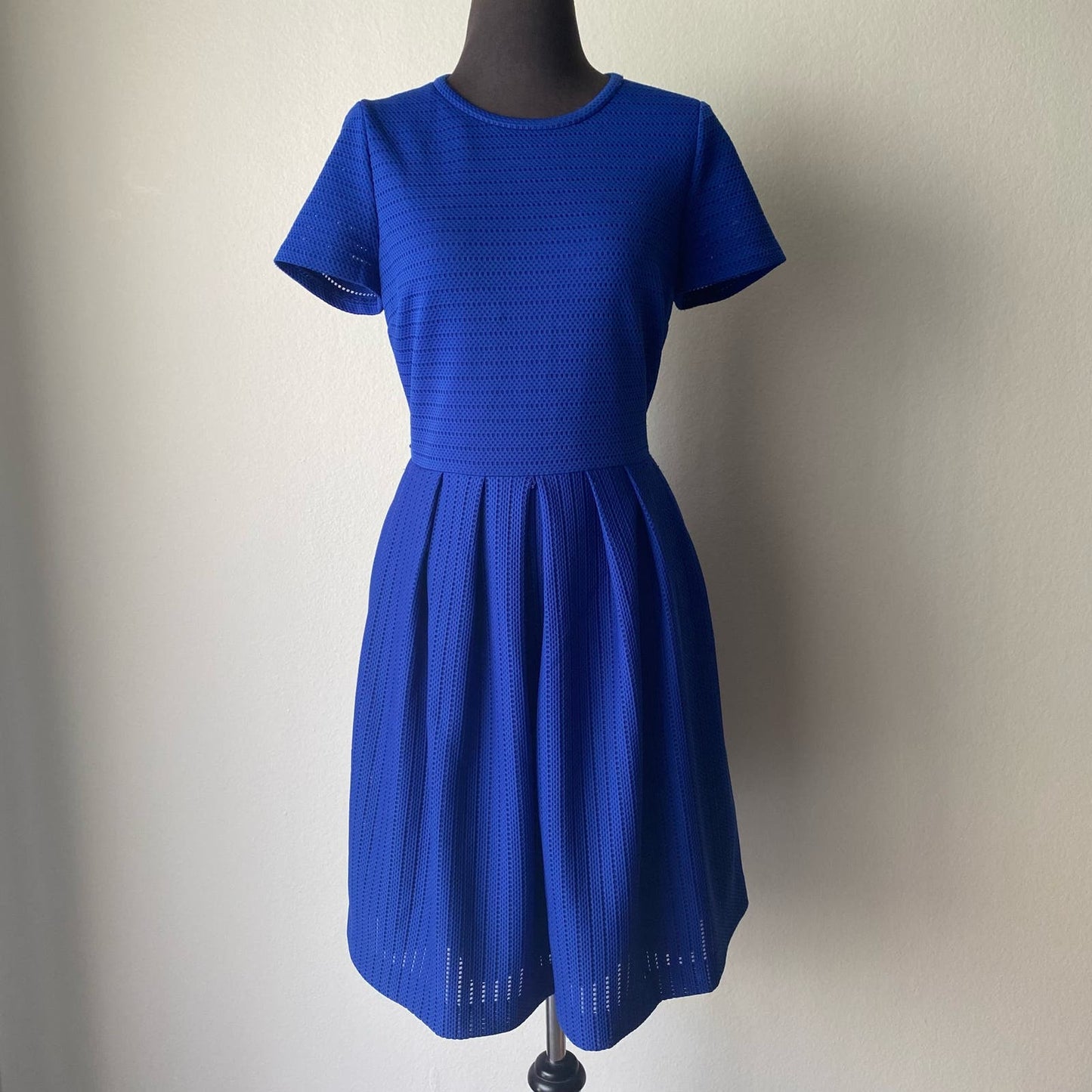 Calvin Klein sz 8 short sleeve crew neck fit and flared pleated dress