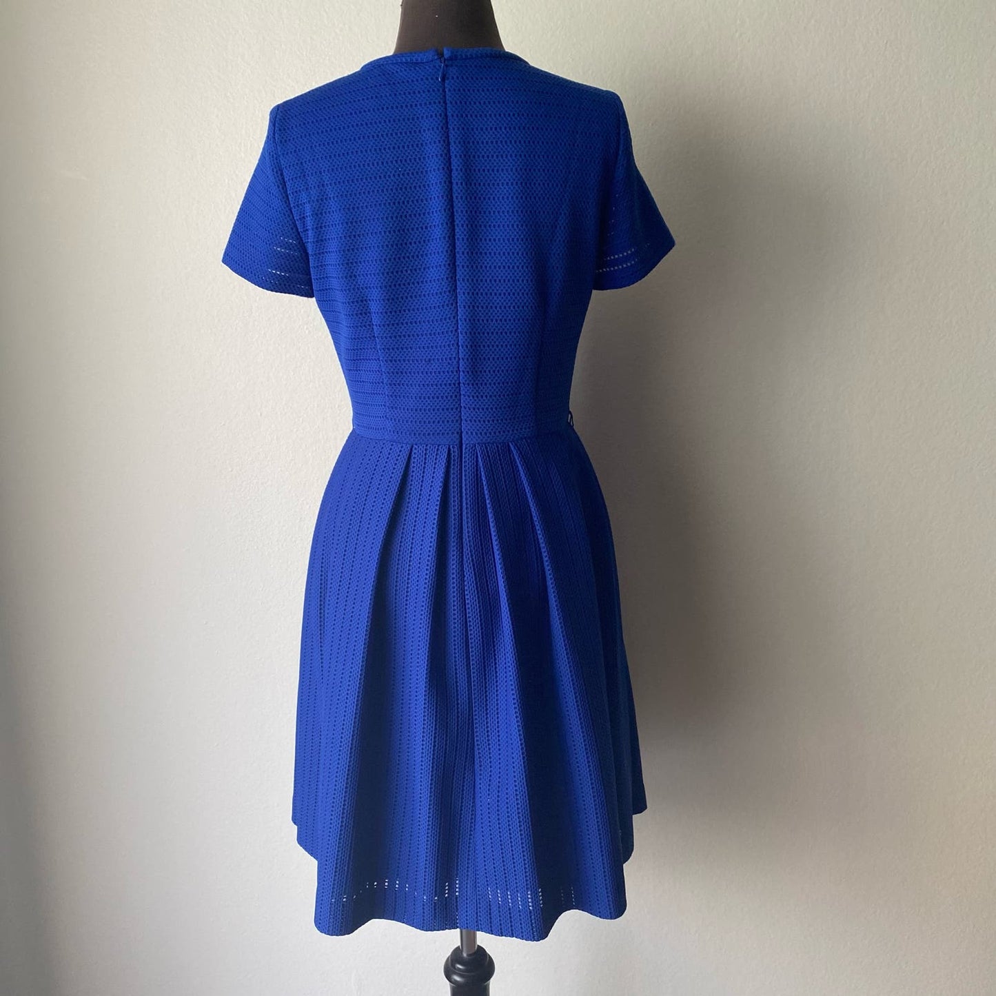 Calvin Klein sz 8 short sleeve crew neck fit and flared pleated dress