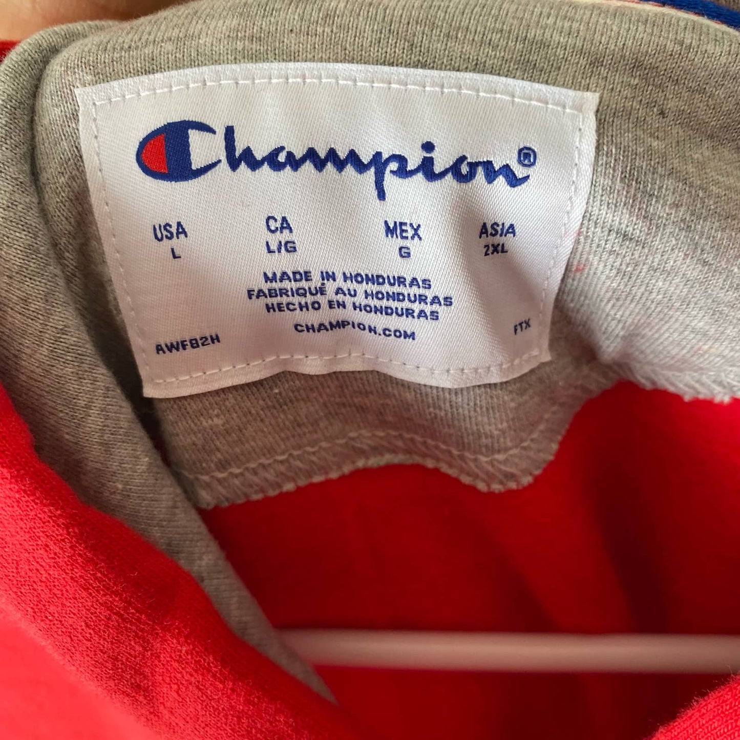 Champion sz L standard fit cotton hoodie NWT